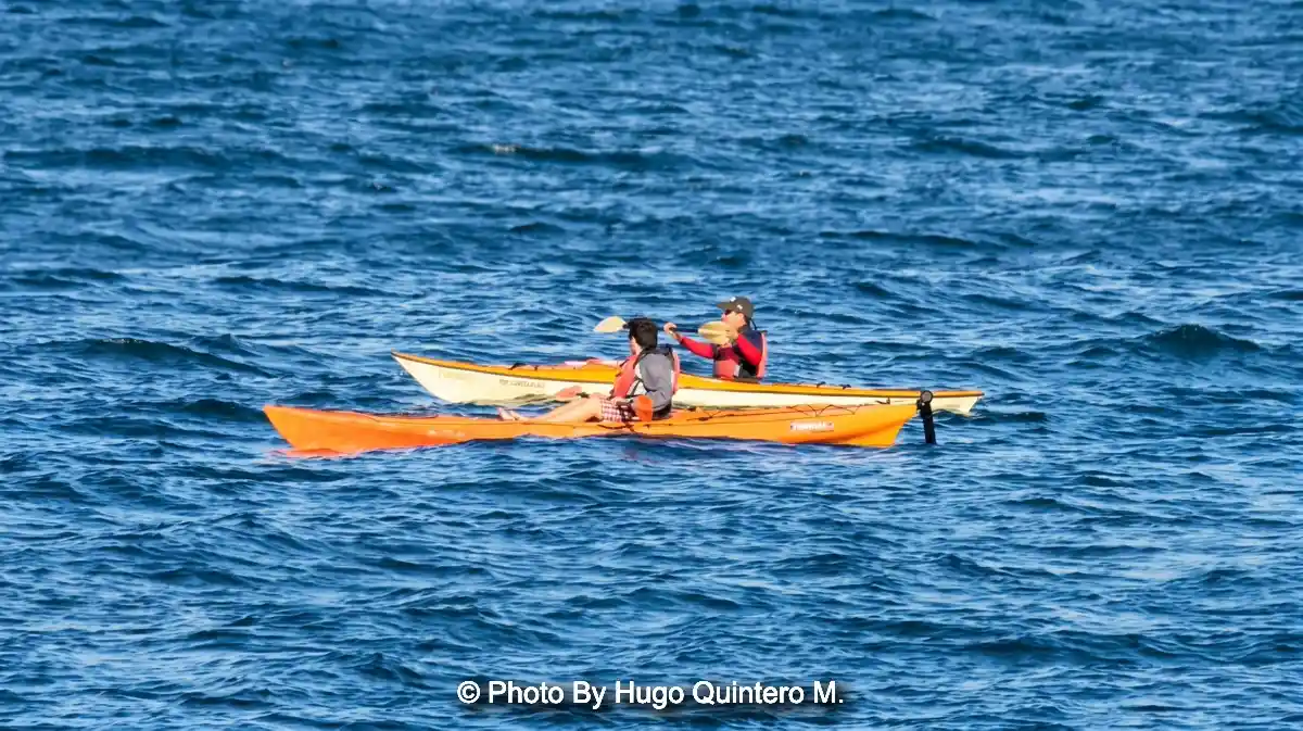 Go kayaking with your sidekick in the marine park of Loreto.