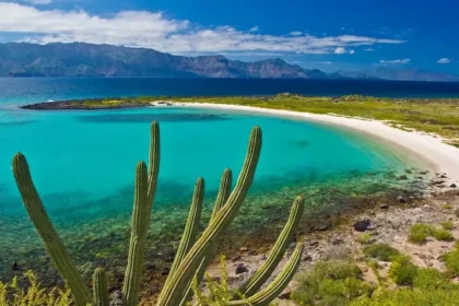 Destination: Unspoiled Beaches of Loreto